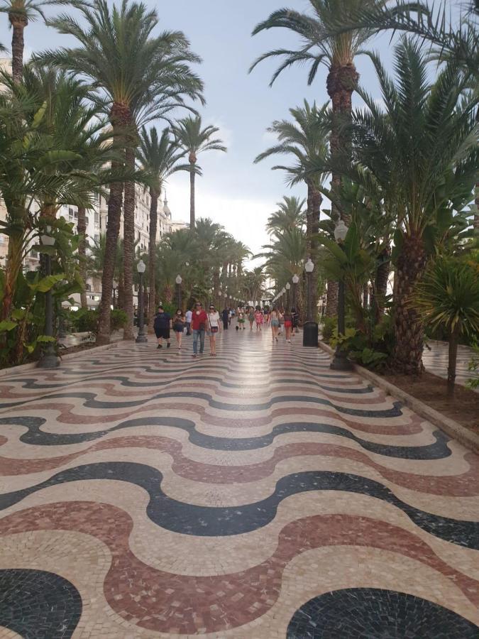 Martas Apartment La Mata  Εξωτερικό φωτογραφία