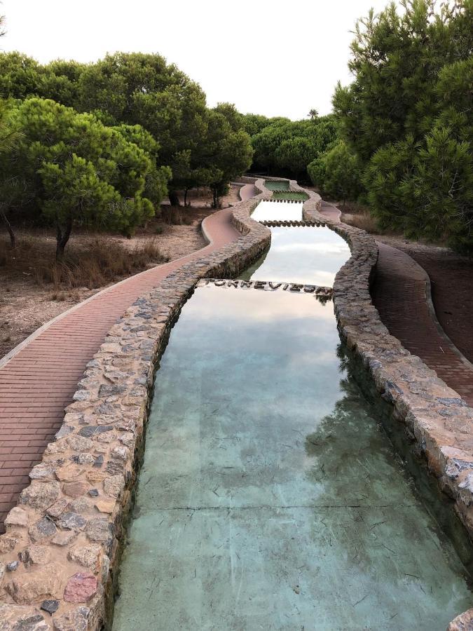 Martas Apartment La Mata  Εξωτερικό φωτογραφία