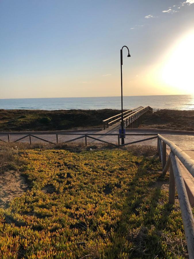 Martas Apartment La Mata  Εξωτερικό φωτογραφία